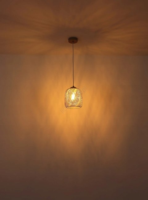 Lampa wisząca Globo Dichti 1 -punkty światła E27