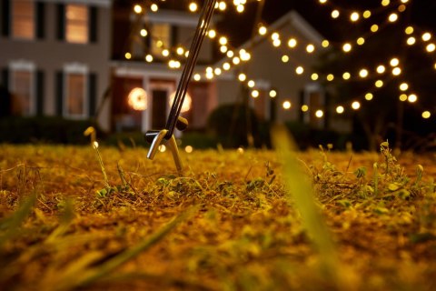 Figura świetlna Fairybell Choinka 201 - 300 lampek