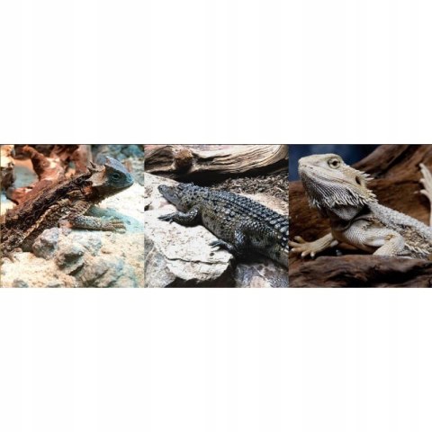 Świetlówka T5 Terrarium Arcadia D3 DESERT 12% 39W 2 sztuki
